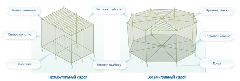 Схема садков